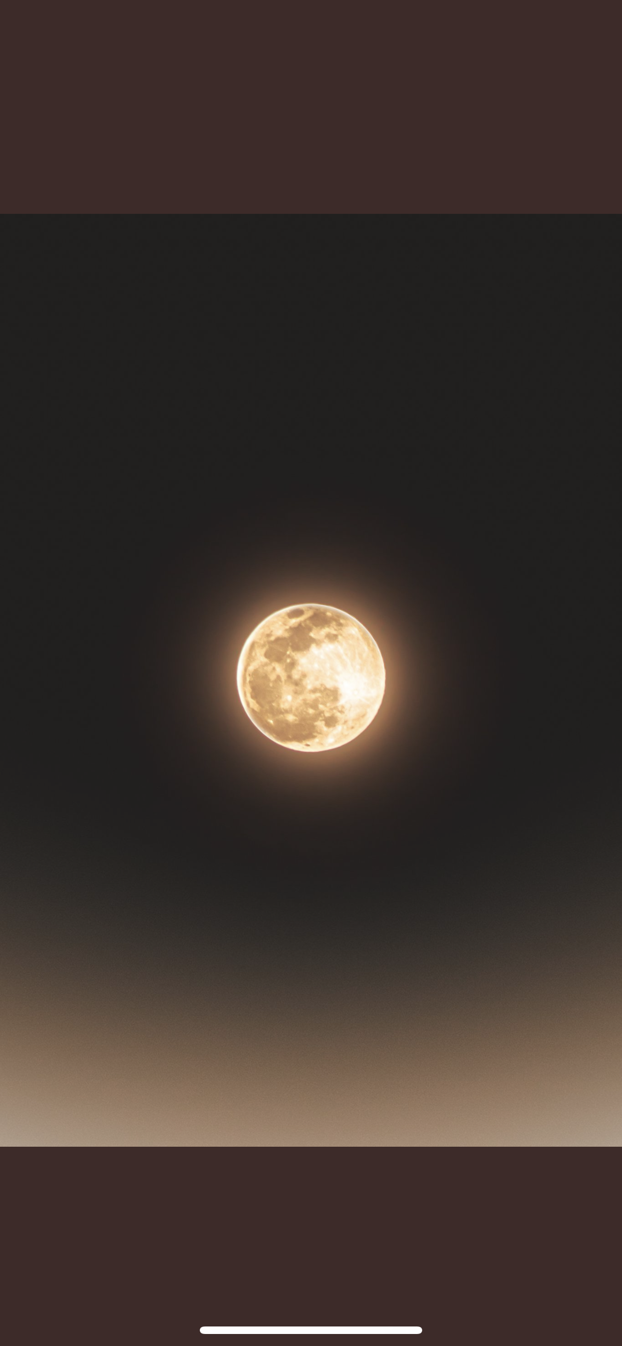 Xotics profile banner