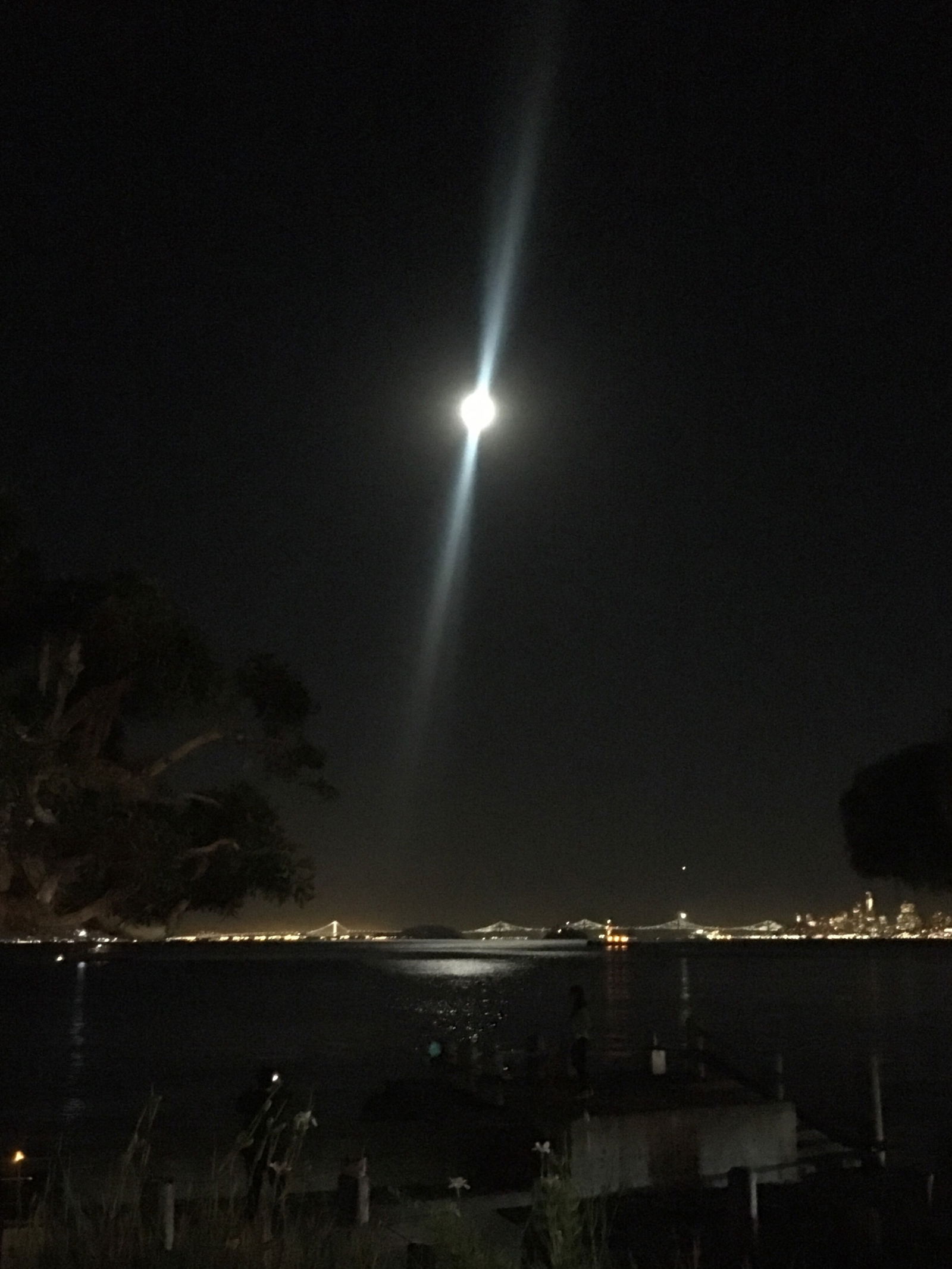edgedmuscleboy banner