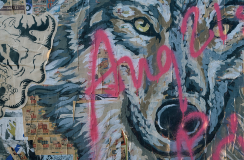 Edseymour profile banner