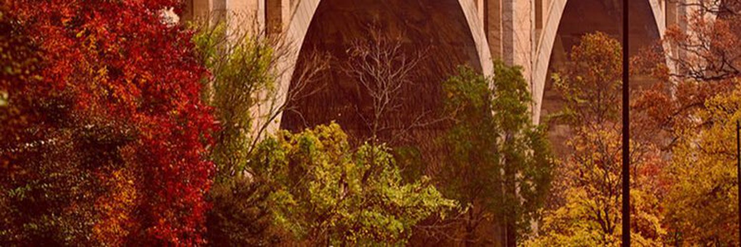 Eduardo De Grado profile banner