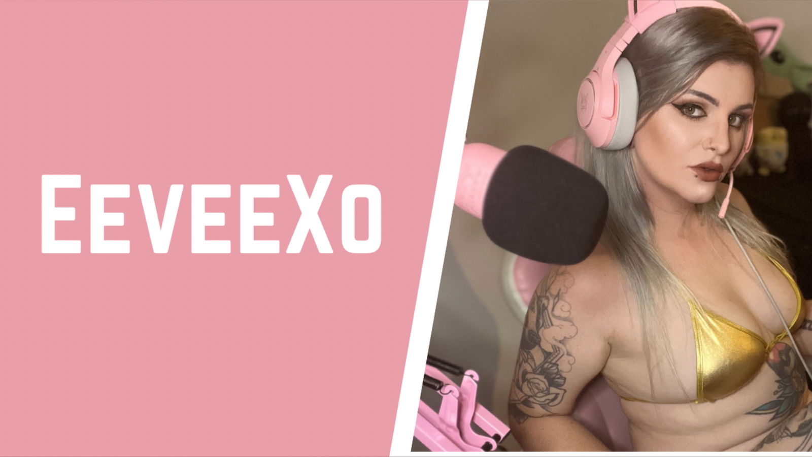 Eevee Xo profile banner