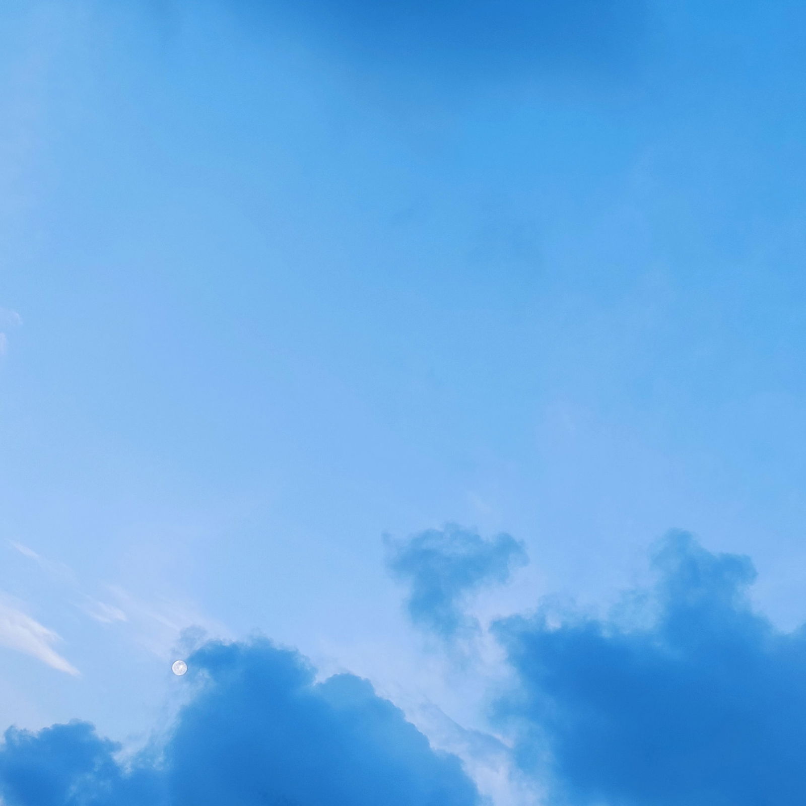 ddooddly profile banner