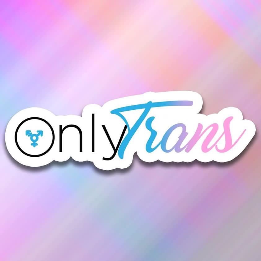 11 Jolie profile banner