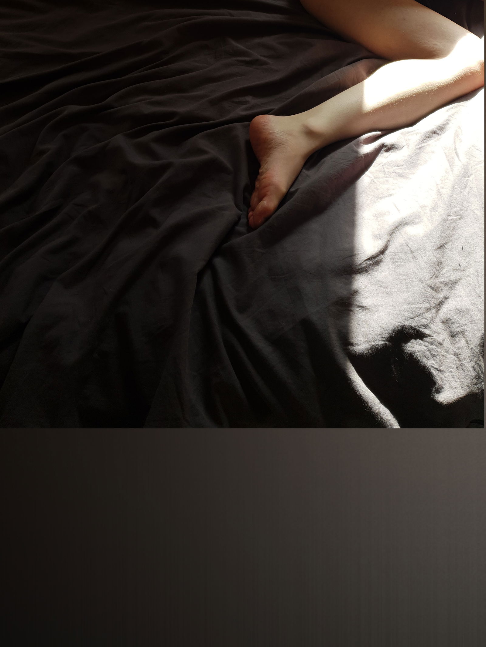 alfi profile banner