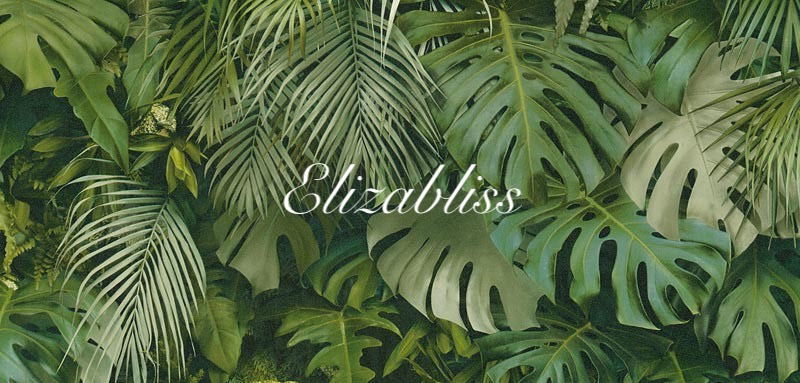Elizabeth profile banner