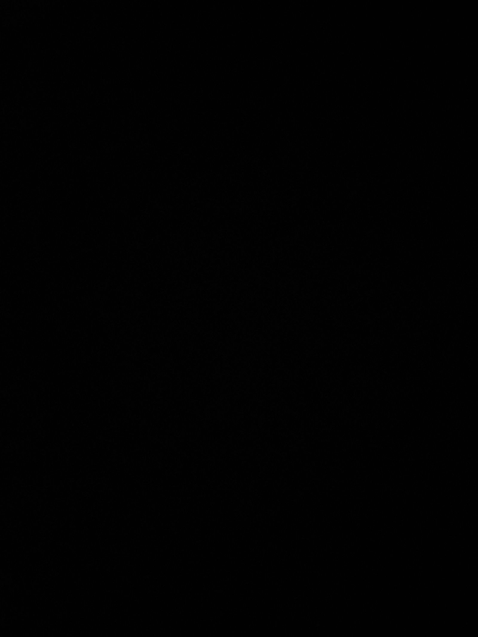 Ella profile banner