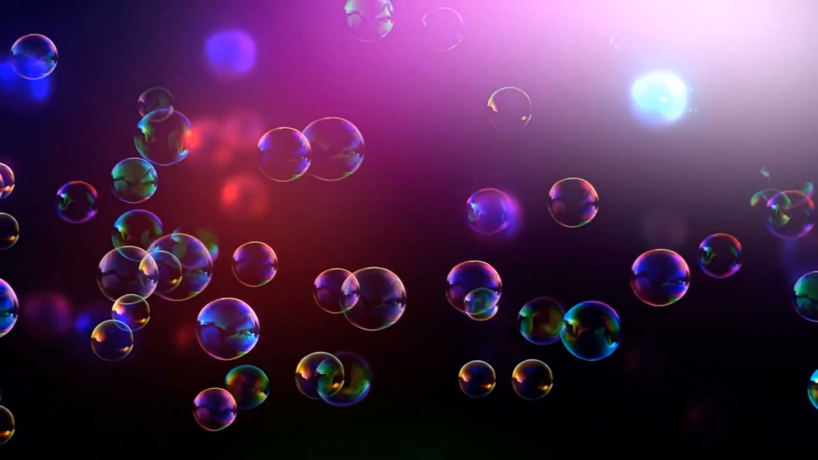 ellibubble profile banner