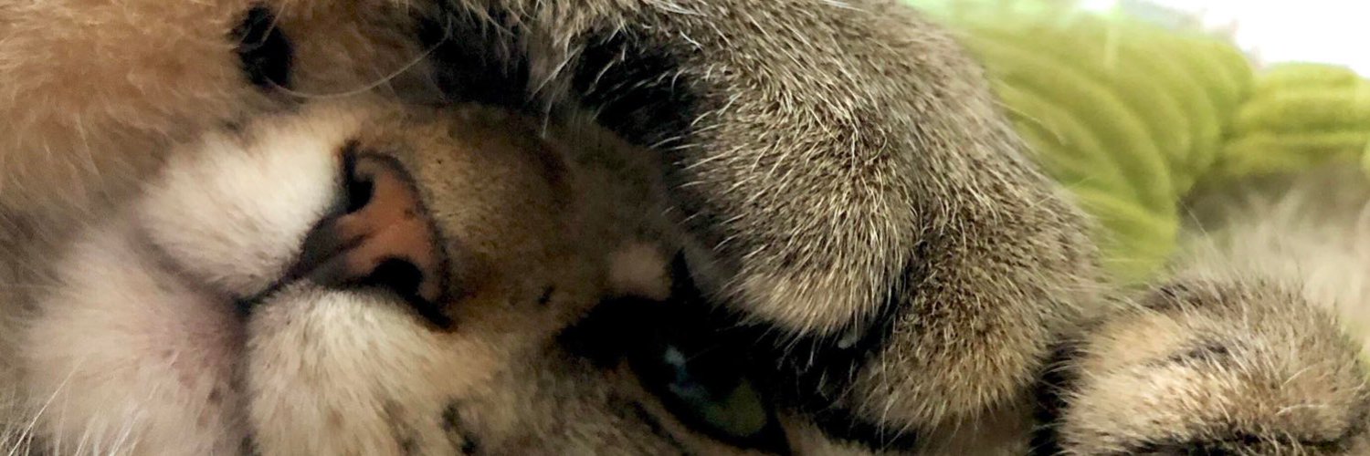 Ellie ^v^ (Customs open!) profile banner