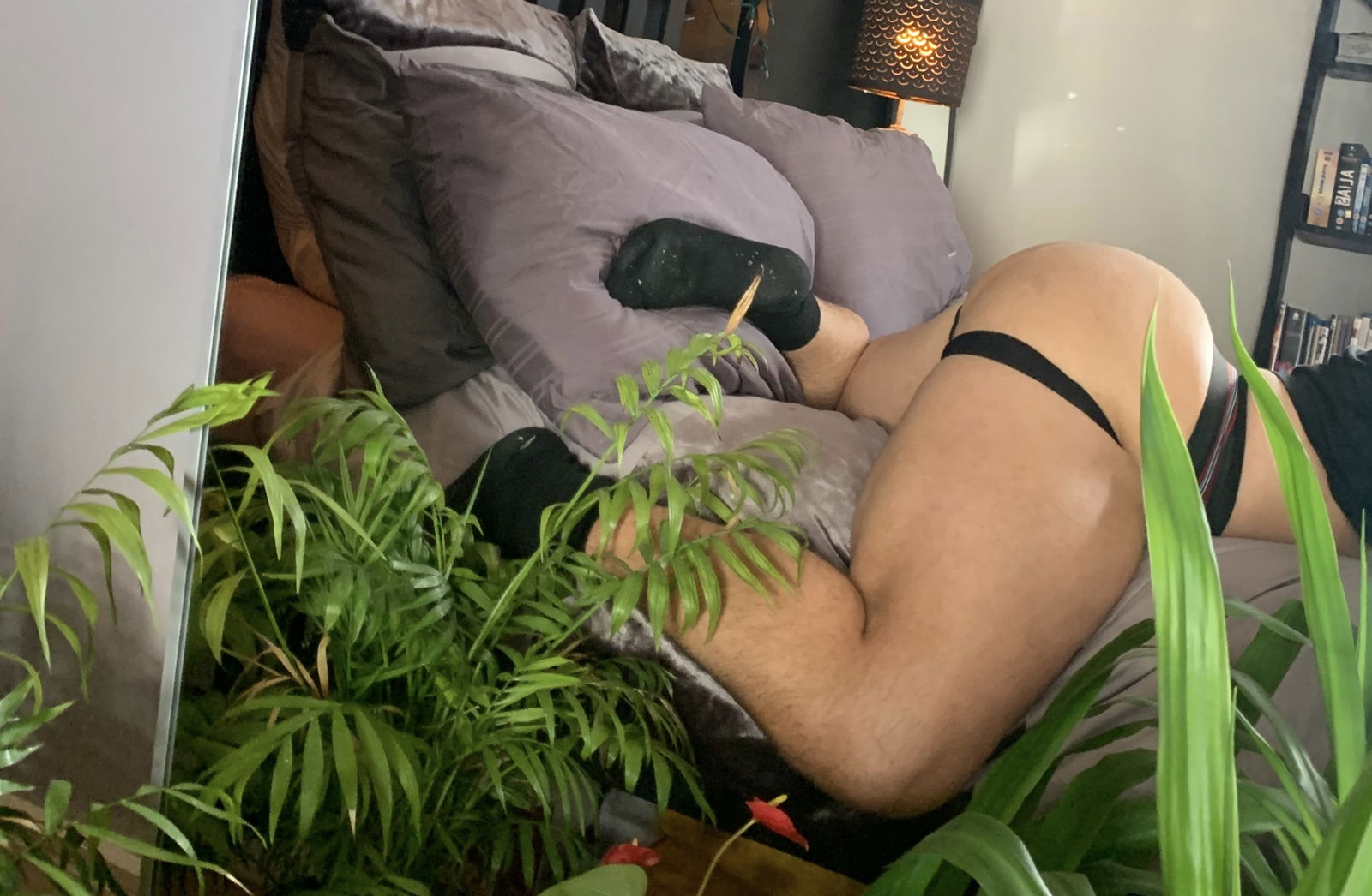 Jacque El profile banner