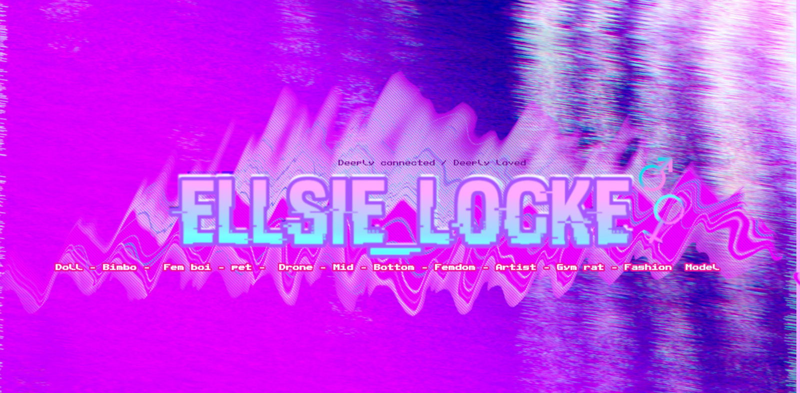 𝙀𝙇𝙇𝙎𝙄𝙀 𝙇𝙊𝘾ke ⿻ ✧ profile banner