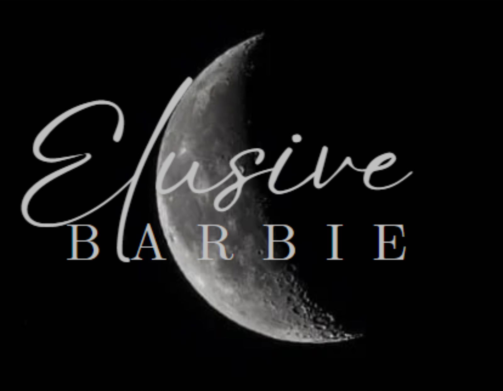 ElusiveBarbie profile banner