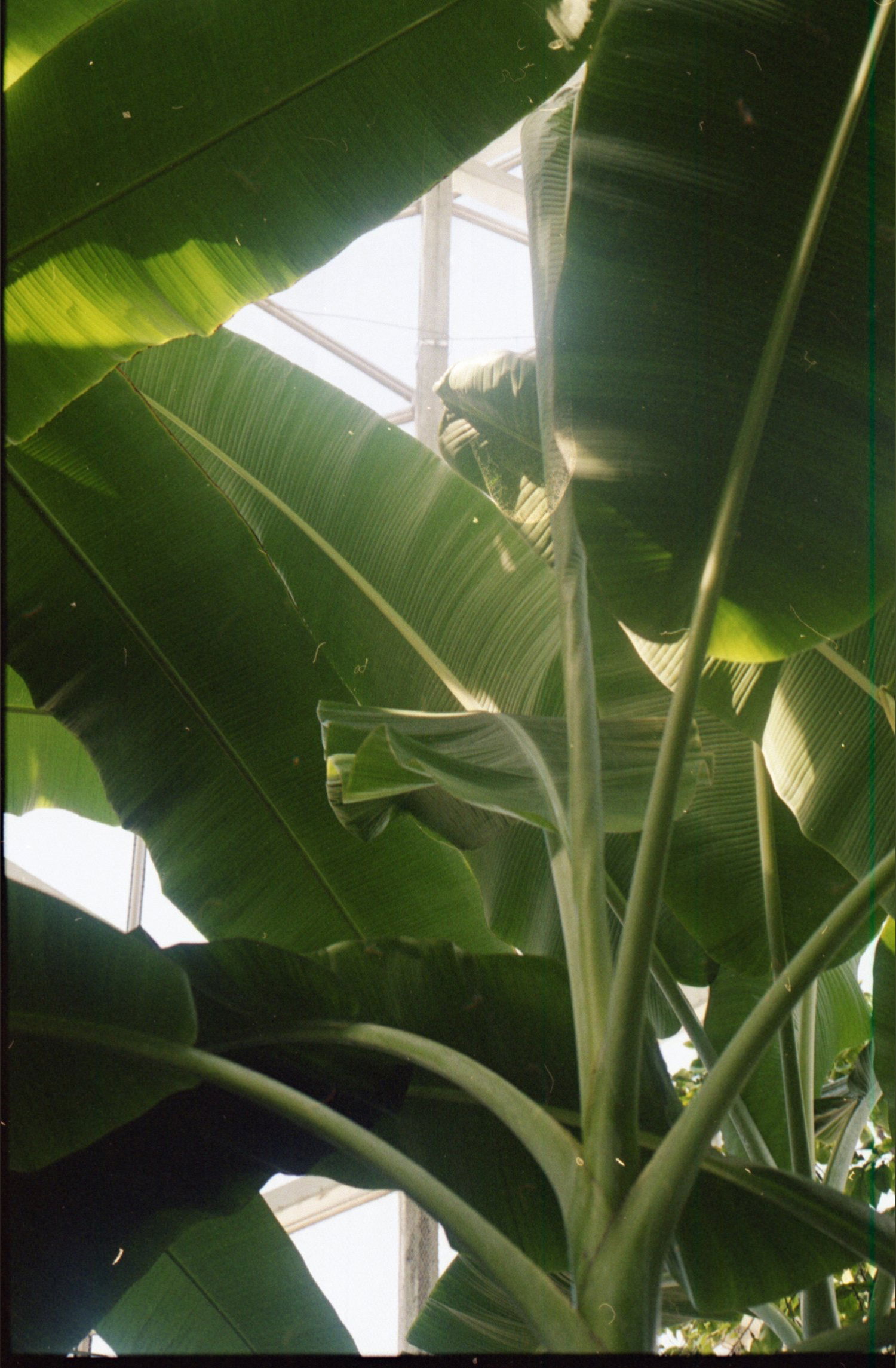 W. profile banner