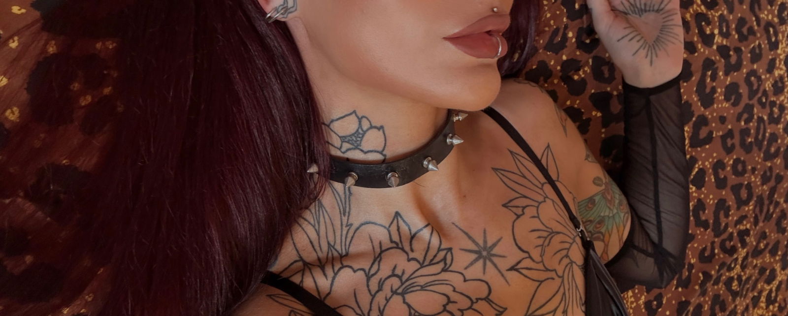 El profile banner