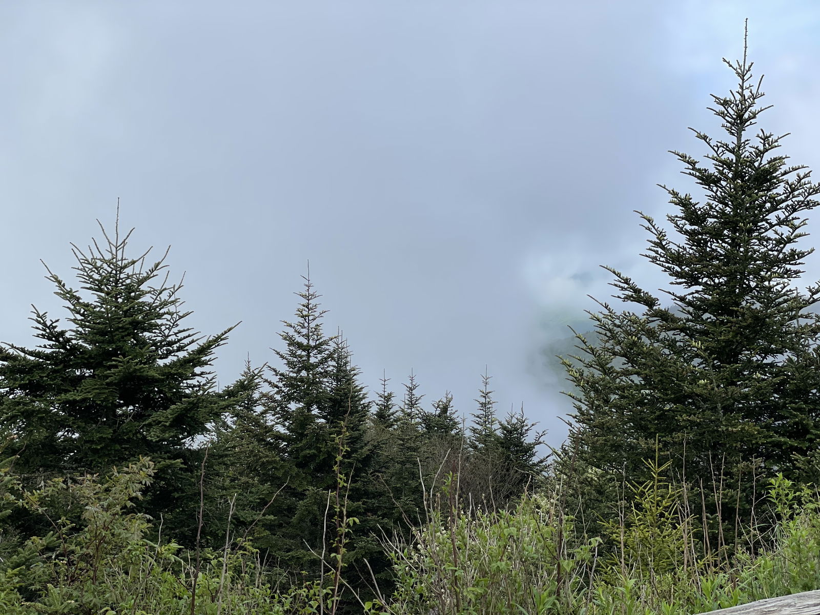 Uuu profile banner