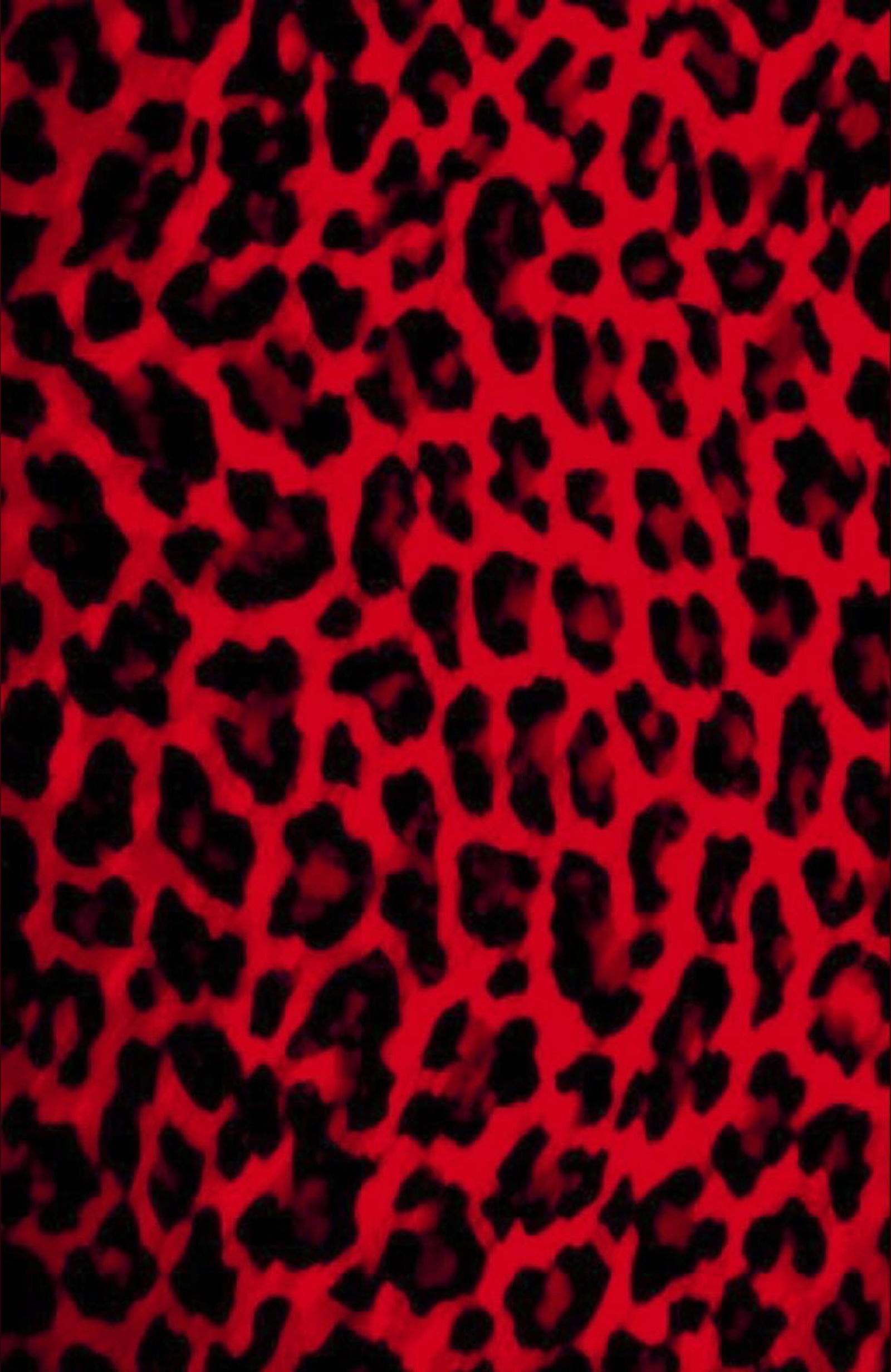 zoe🖤❤️ profile banner