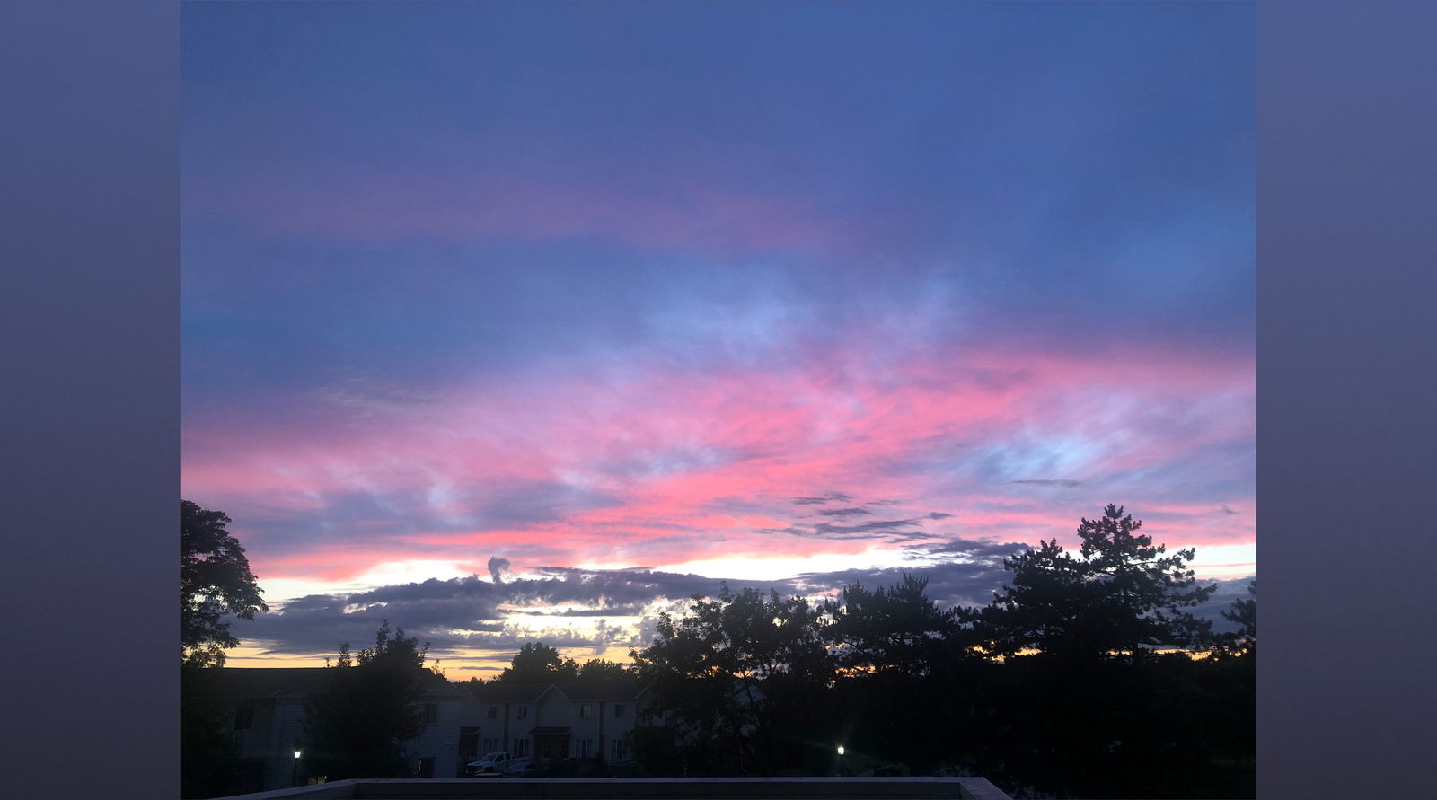 emhoneypotvip banner