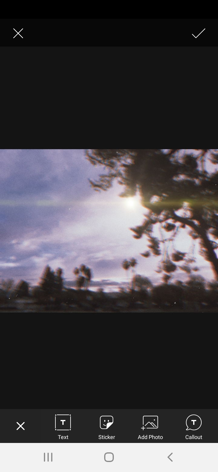 Emily Elizabeth H. profile banner