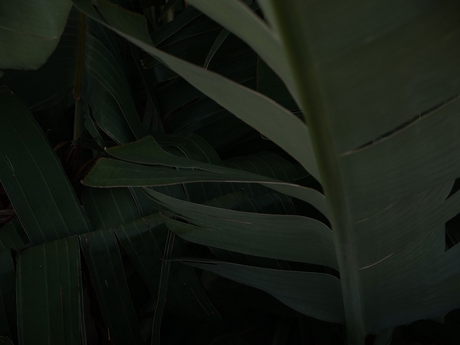 Emma Christina profile banner