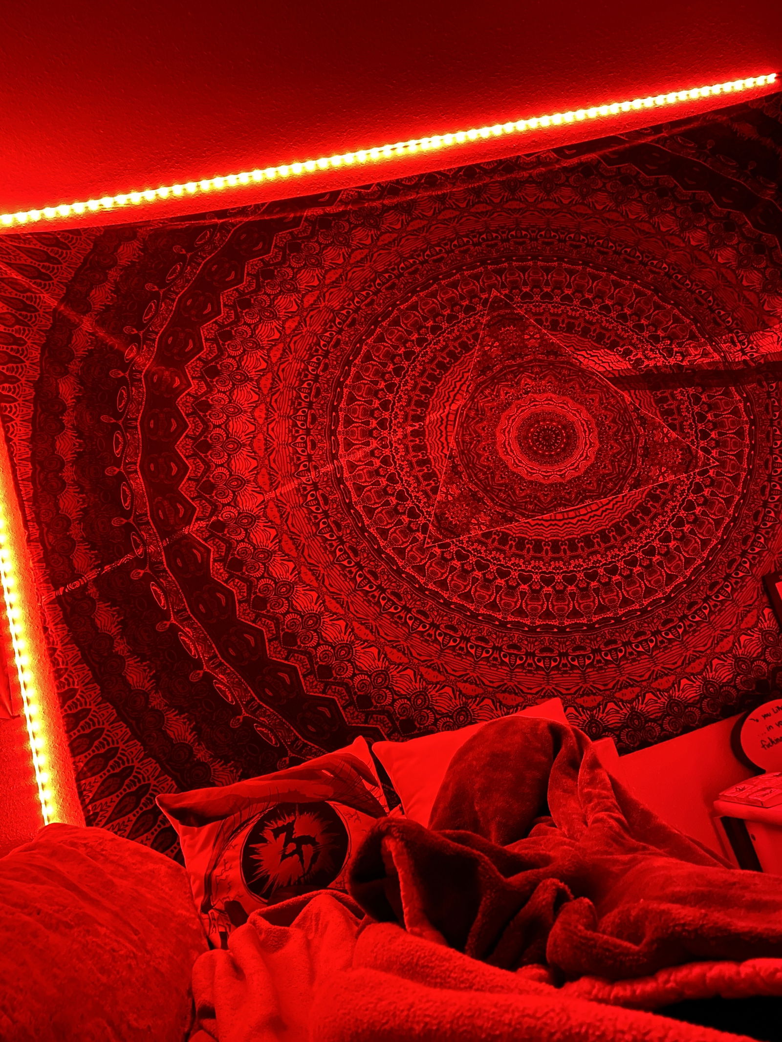 Monte Papi profile banner