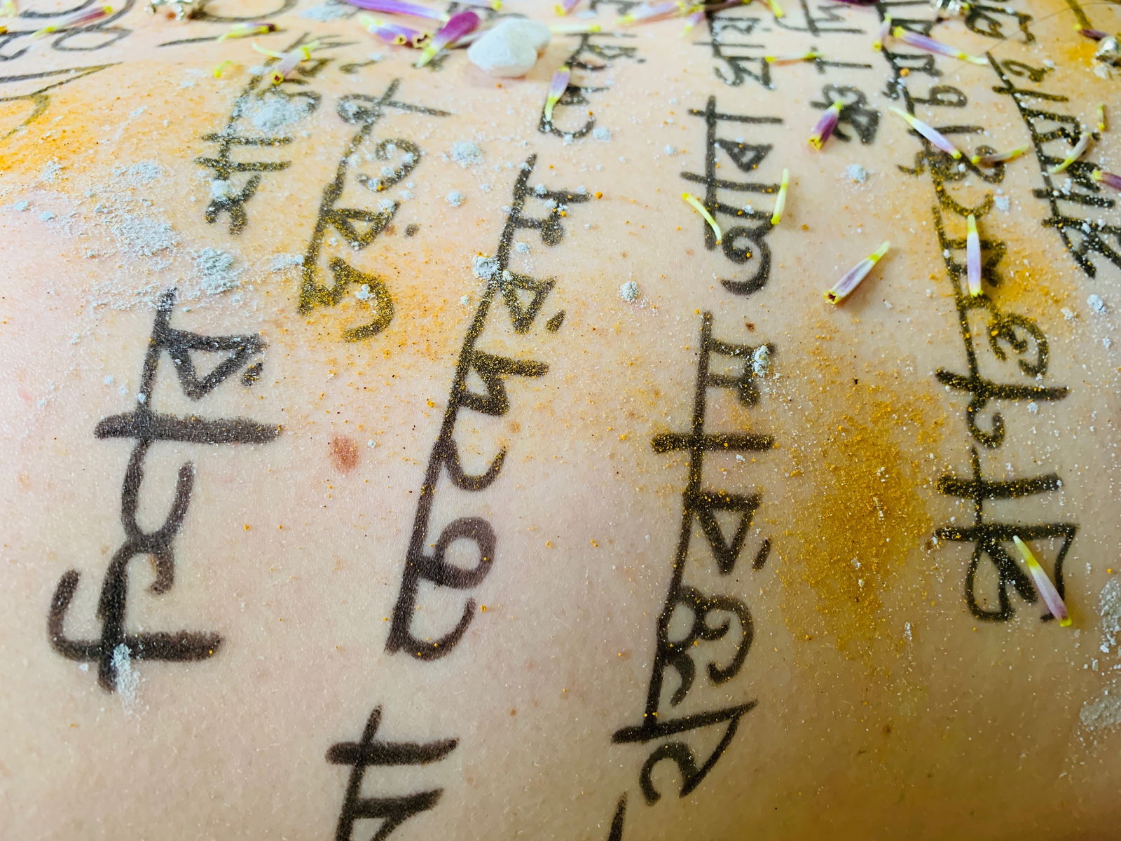NonBinary Lesbian Vegan profile banner