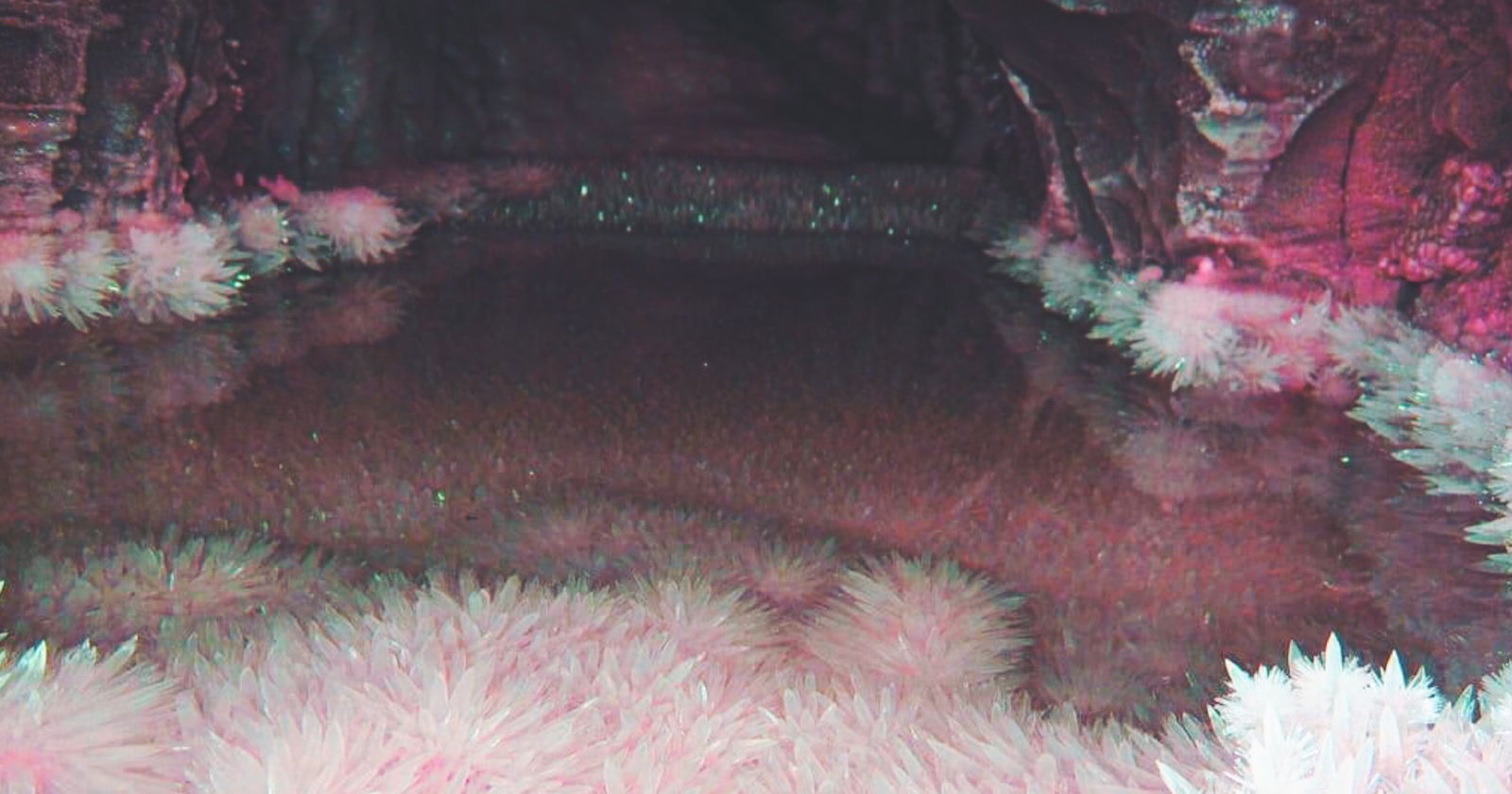 SariahLynn profile banner