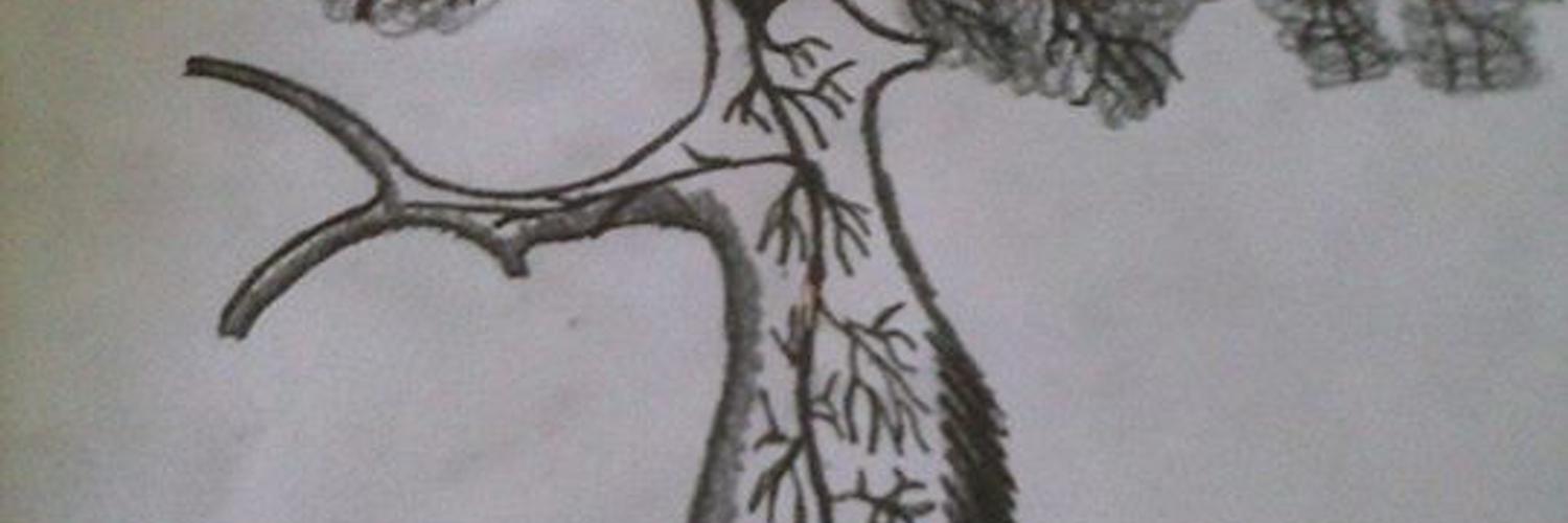 Erick Rafael profile banner