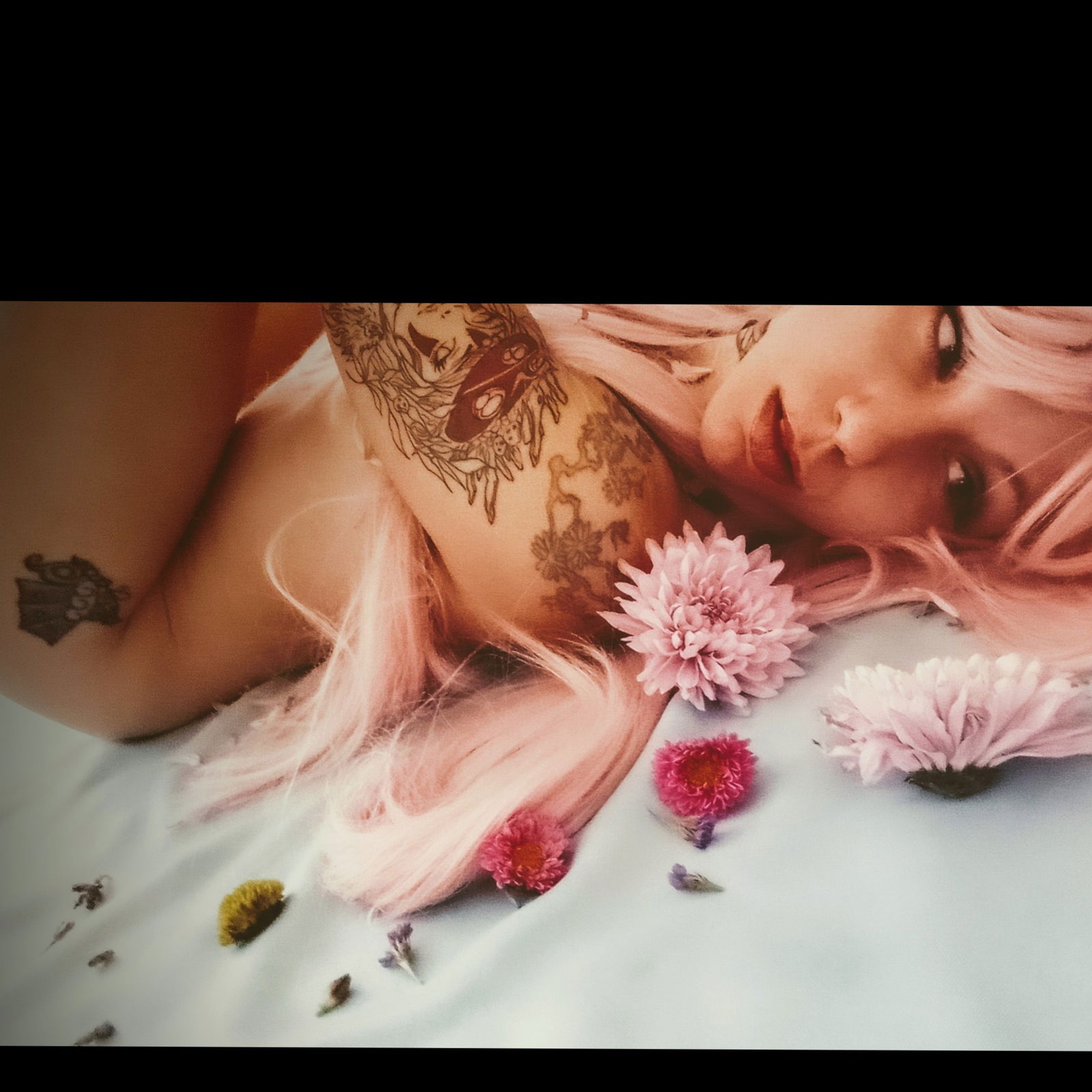 Echo profile banner