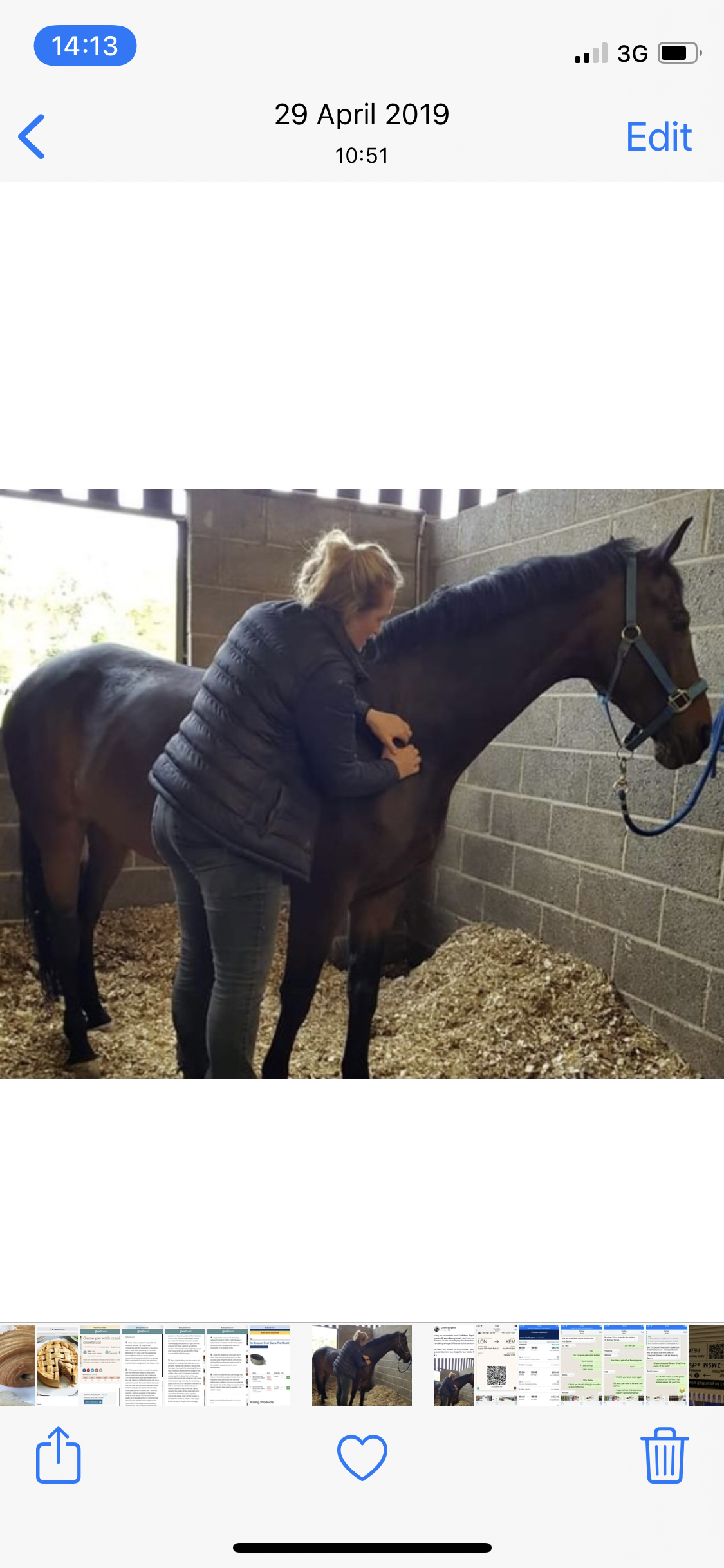 Equine Massage profile banner