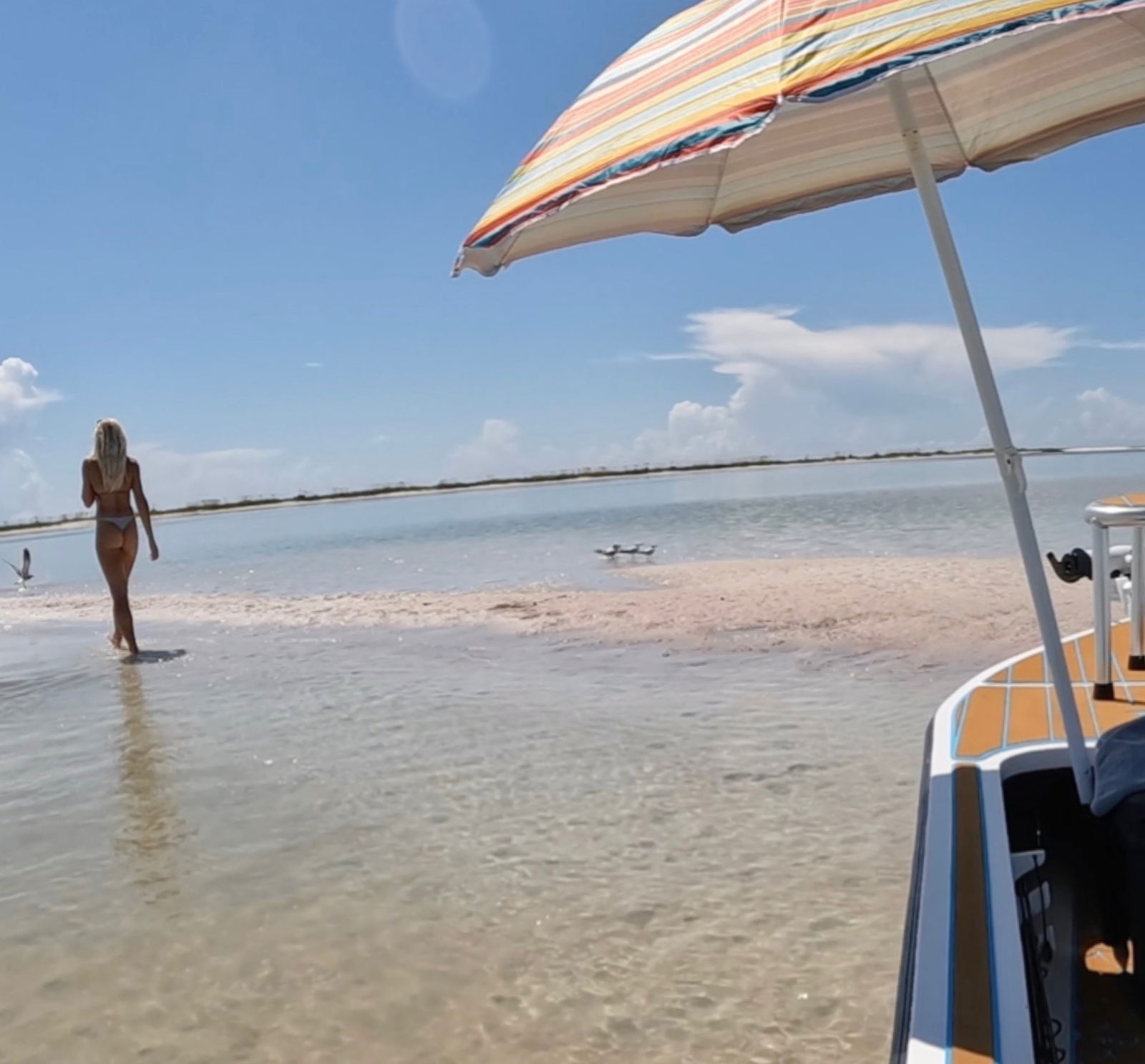 erica_lynn2 banner