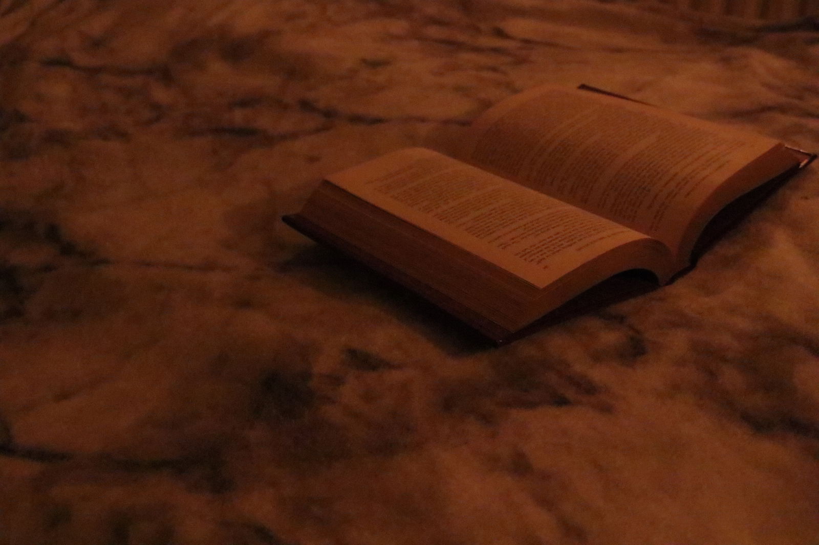 Erotic Reads profile banner
