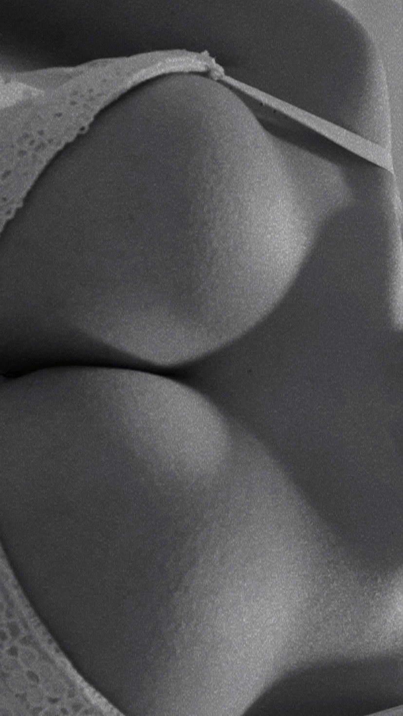 errecede profile banner