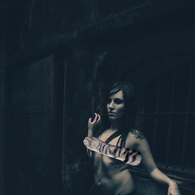 Evey profile banner