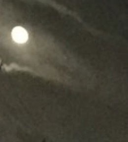 Evanprince profile banner