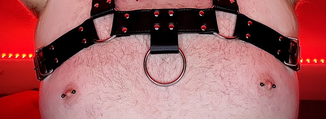 EvCub342 profile banner