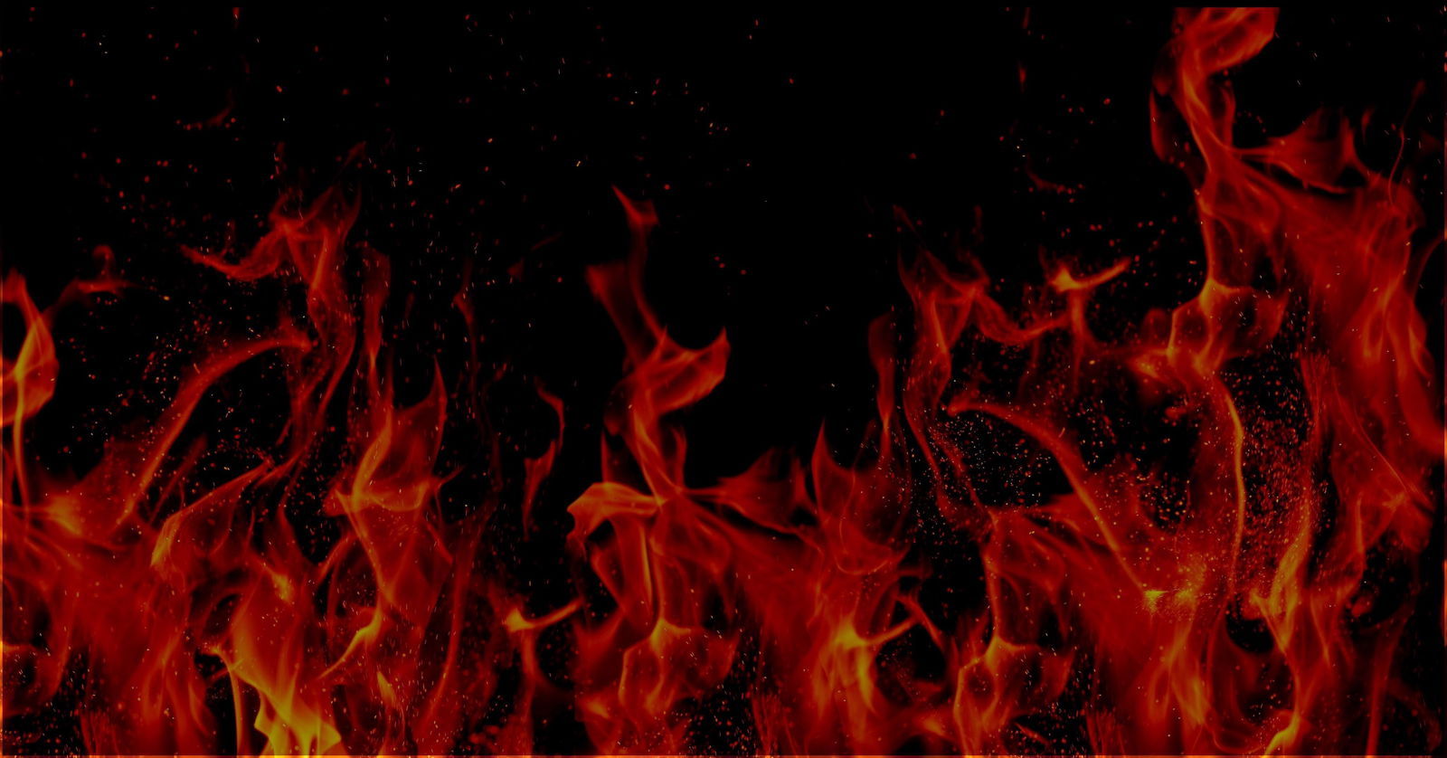 ππβ¨ profile banner