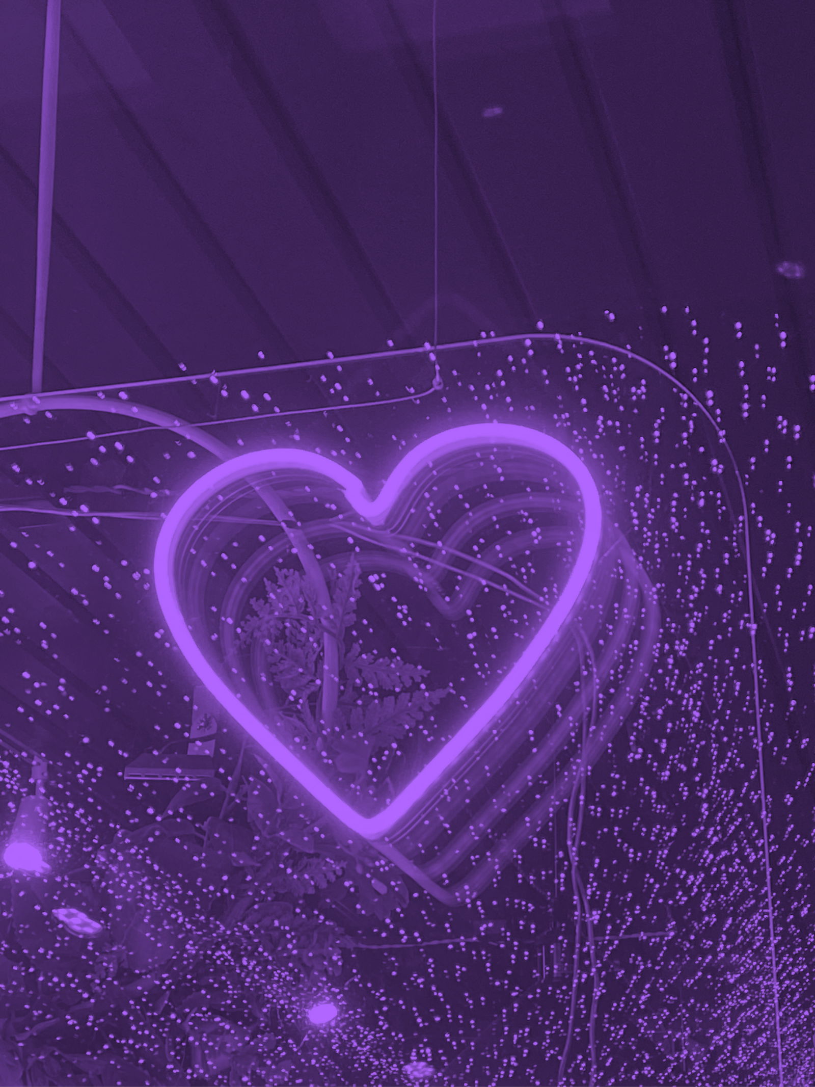 evespace profile banner