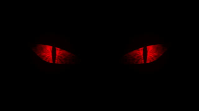 Evil Kittens profile banner