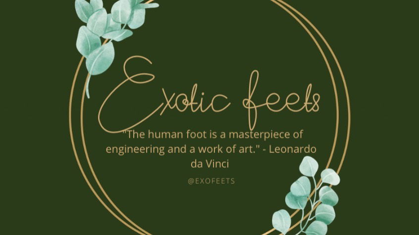 Exotic Feets profile banner