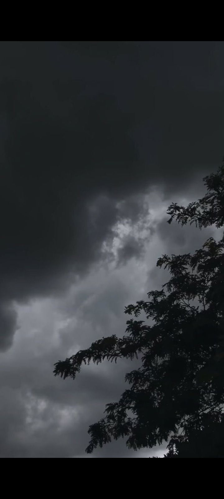 Black scorpio profile banner