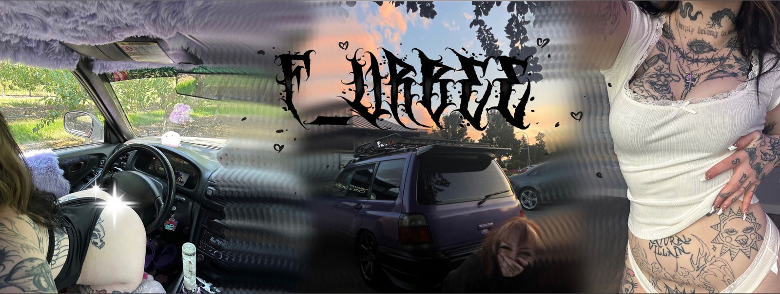 furbee profile banner