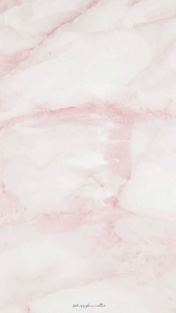 Fabiola profile banner