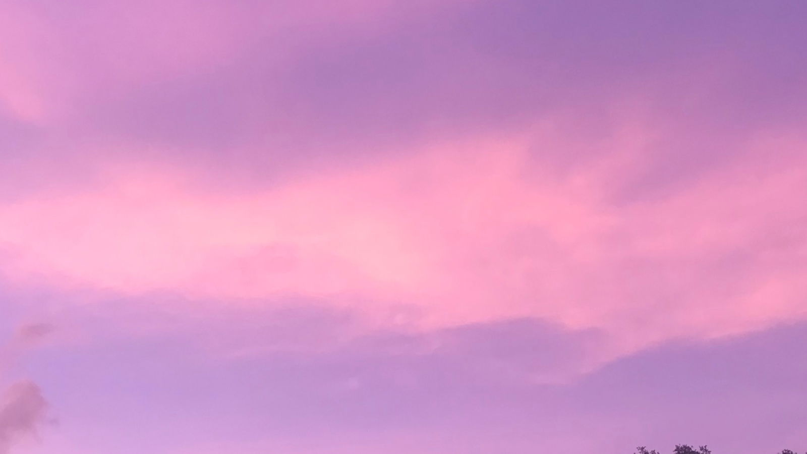 *:・゚✧ 。・ *🌸*:・゚✧ 。・ profile banner