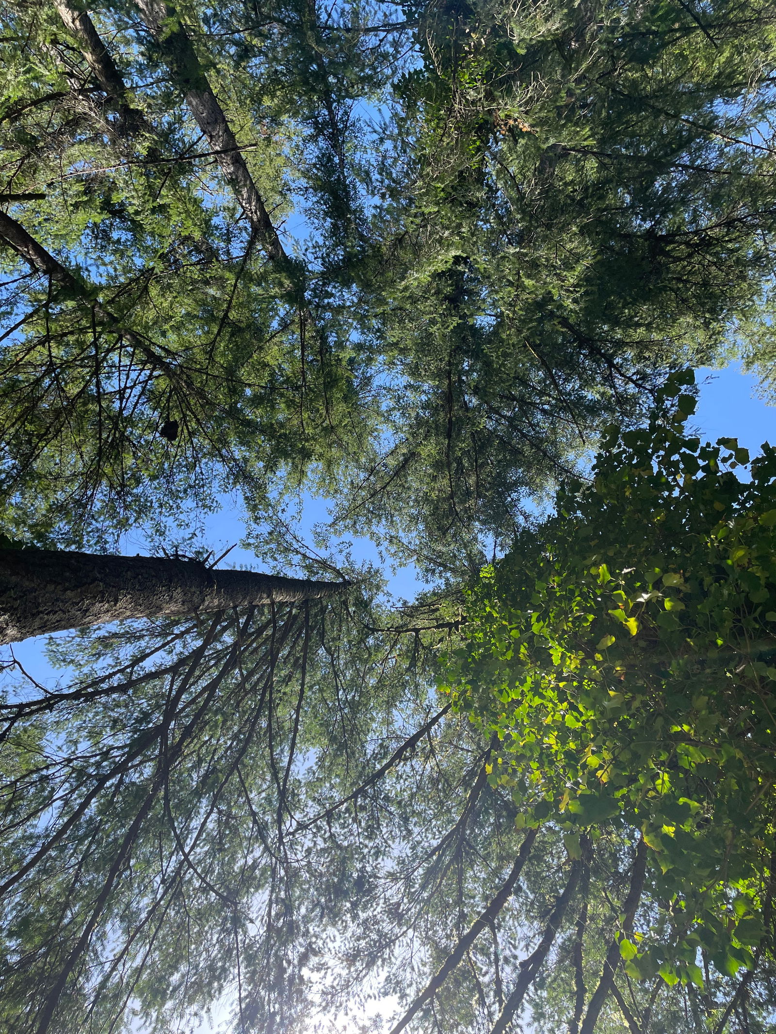 StonerGirlš profile banner