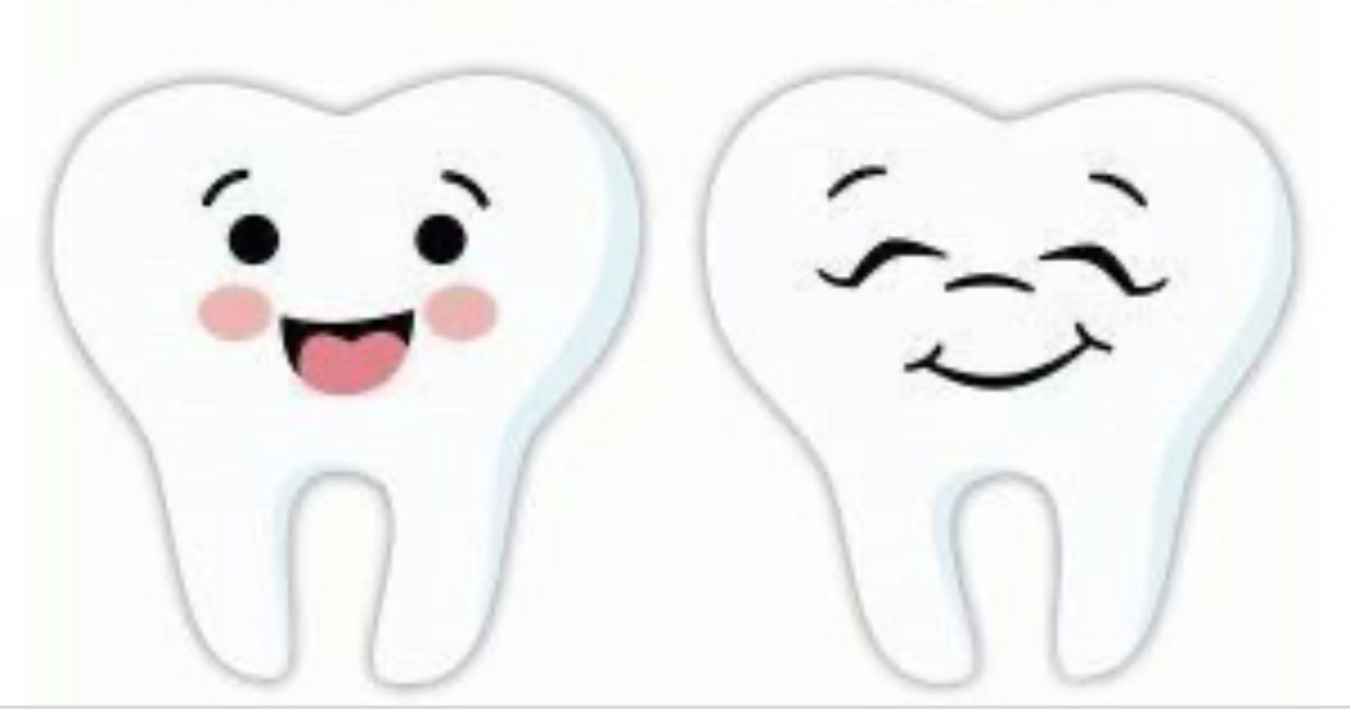Tooth Fairy π§ββοΈ profile banner