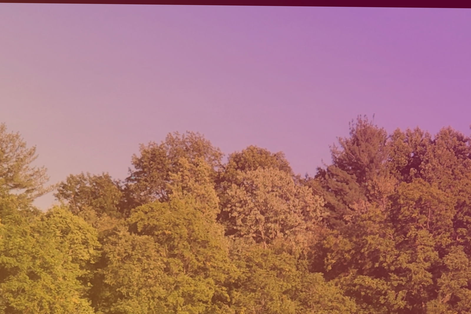 fall_lover69 banner