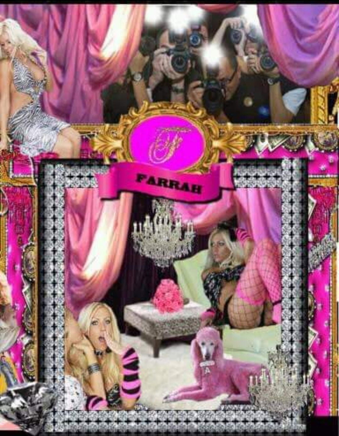 farrah shelton profile banner