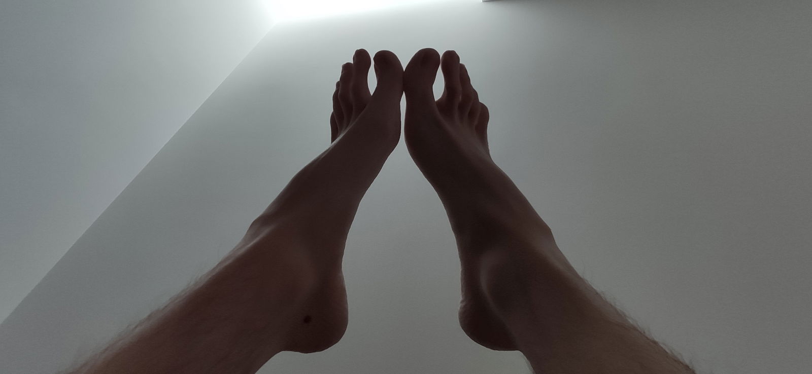 Kongy's Feet Emporium profile banner
