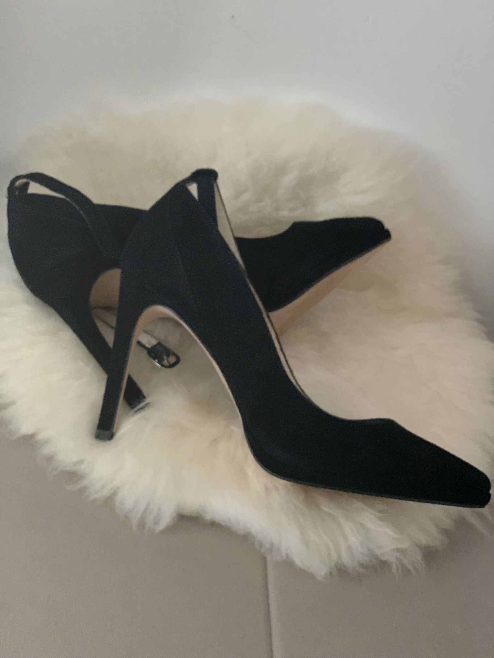 Feeterella profile banner