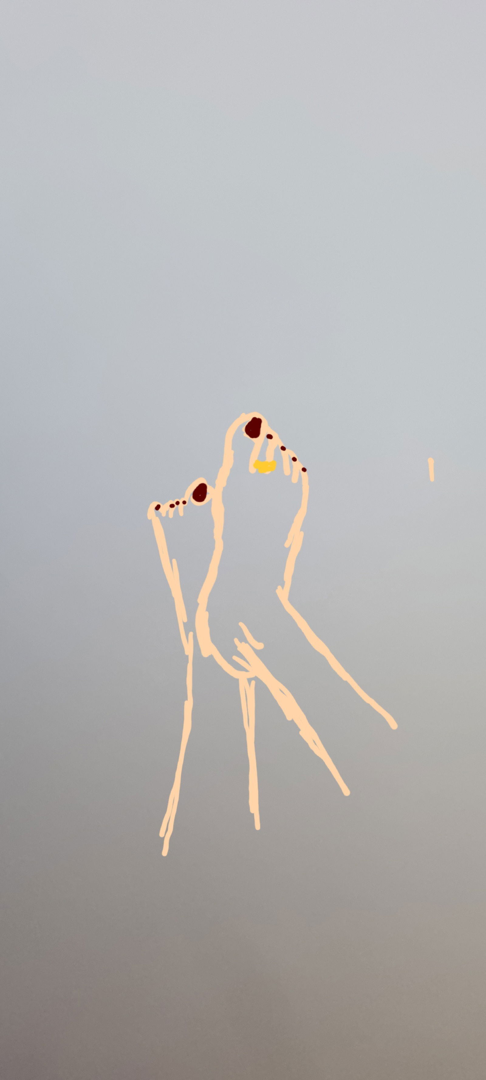 Feetishist profile banner