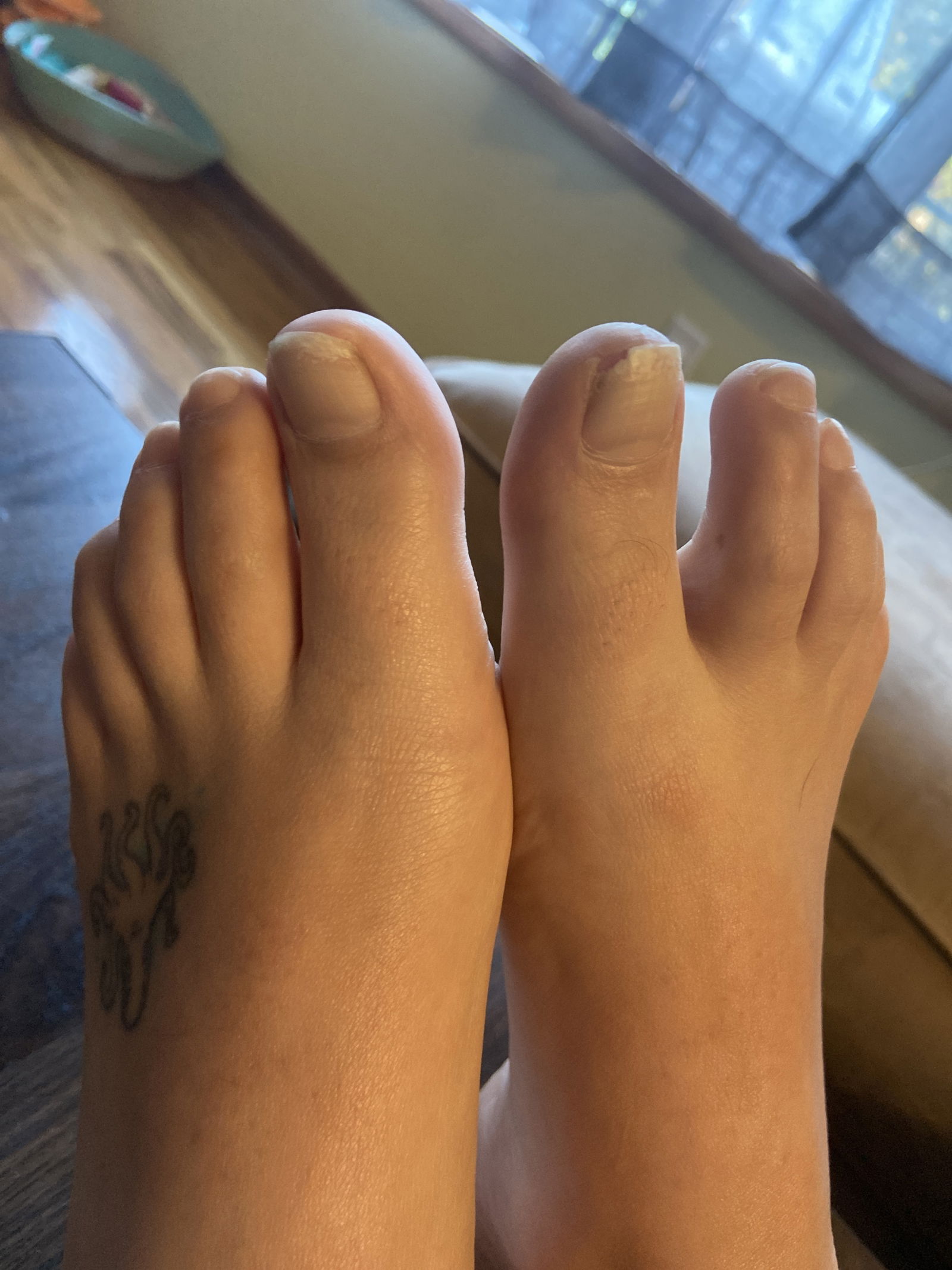 Amber Tootsie profile banner